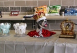 Trophies (including the crown)